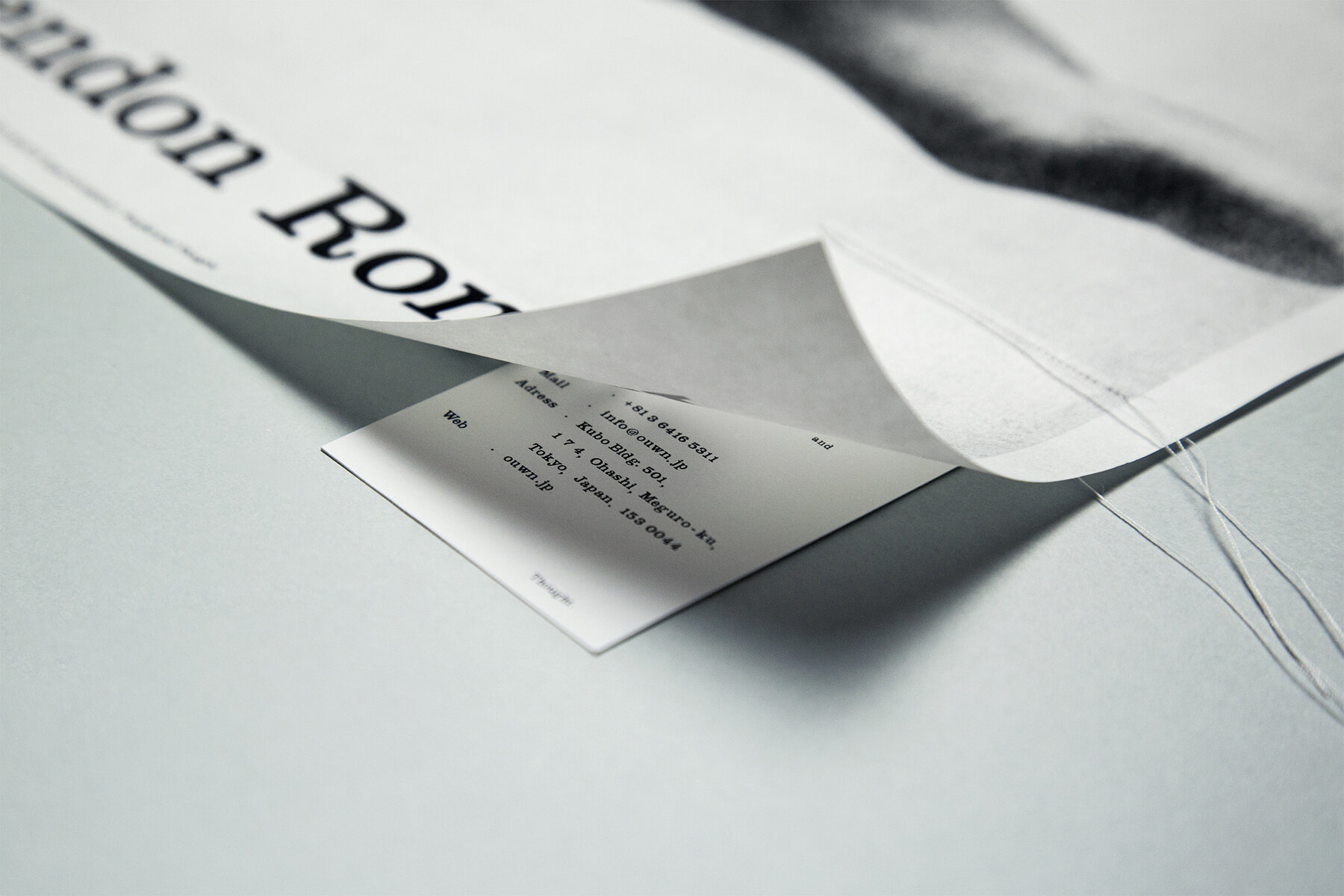 BLIND MOUSE WHITE PARADOX