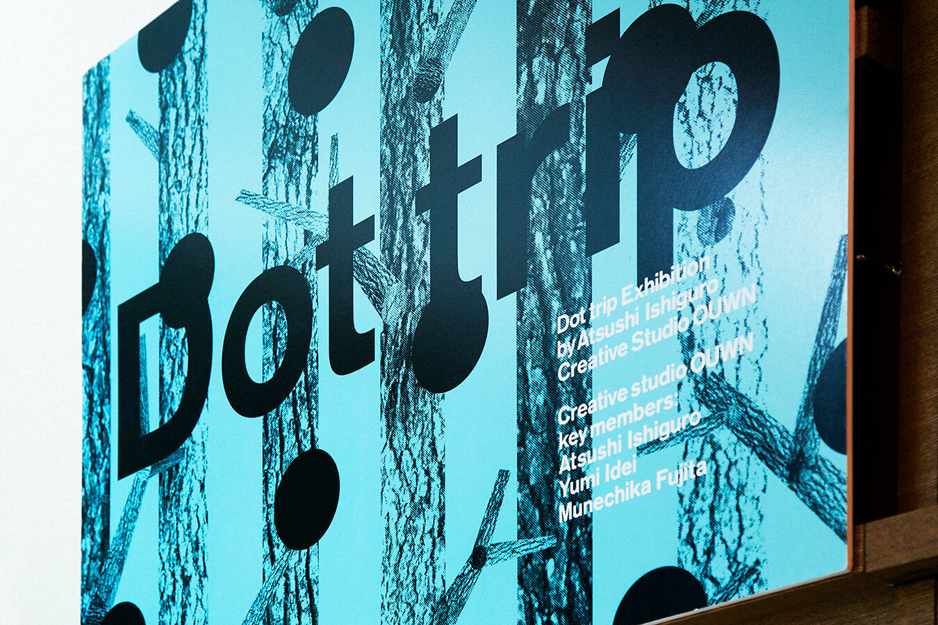 DOT TRIP / BRAIN NO.699 BOOK JACKET