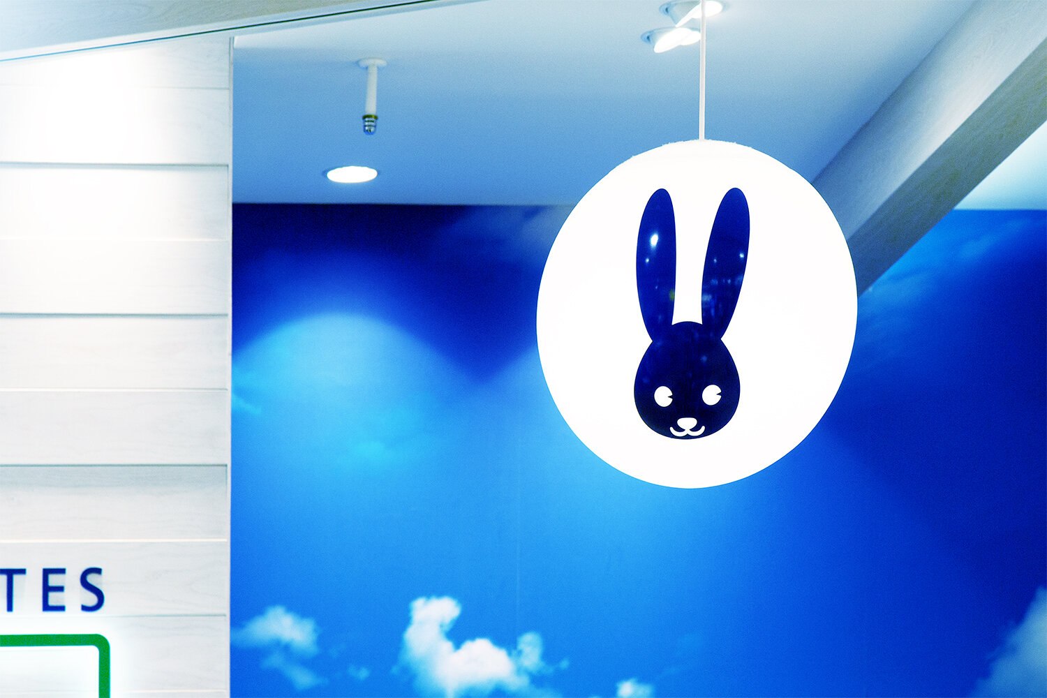 JACK BUNNY!!
