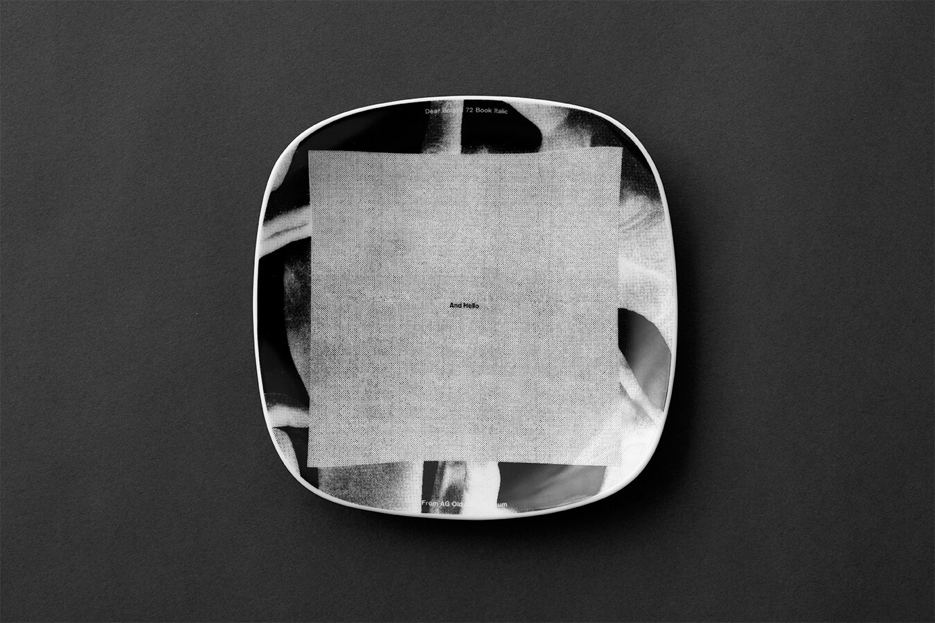 BLIND MOUSE WHITE PARADOX