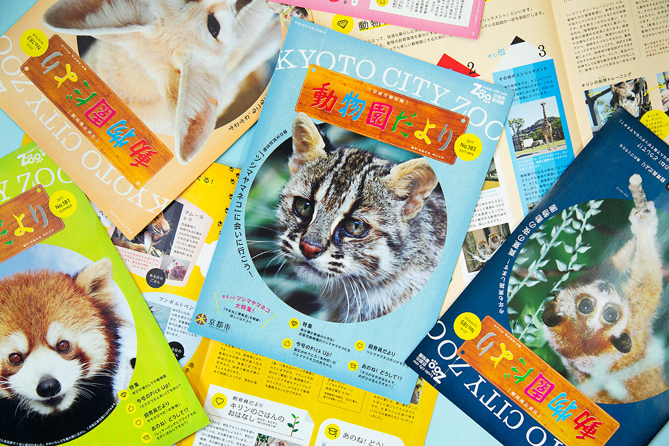 KYOTO CITY ZOO