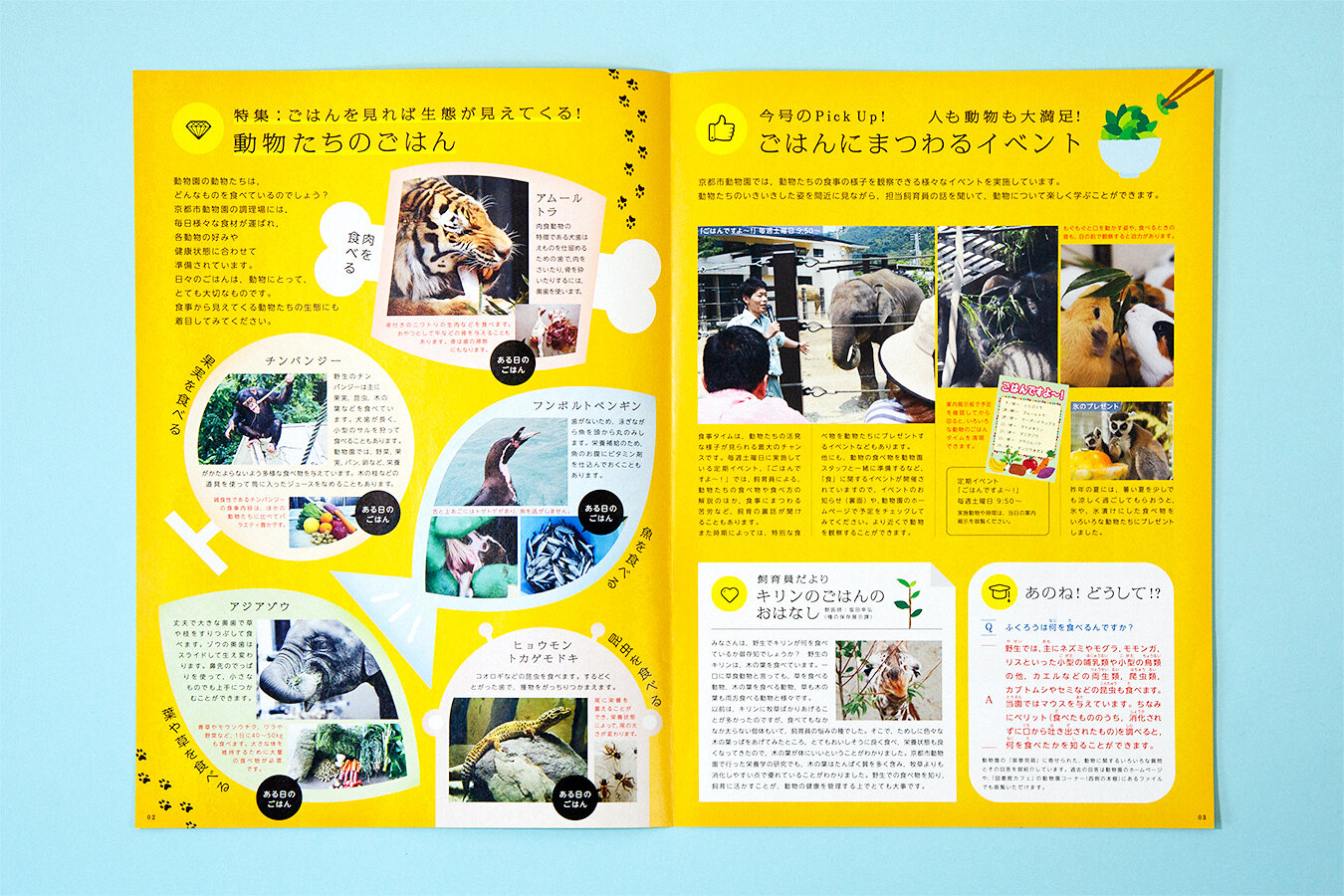 KYOTO CITY ZOO