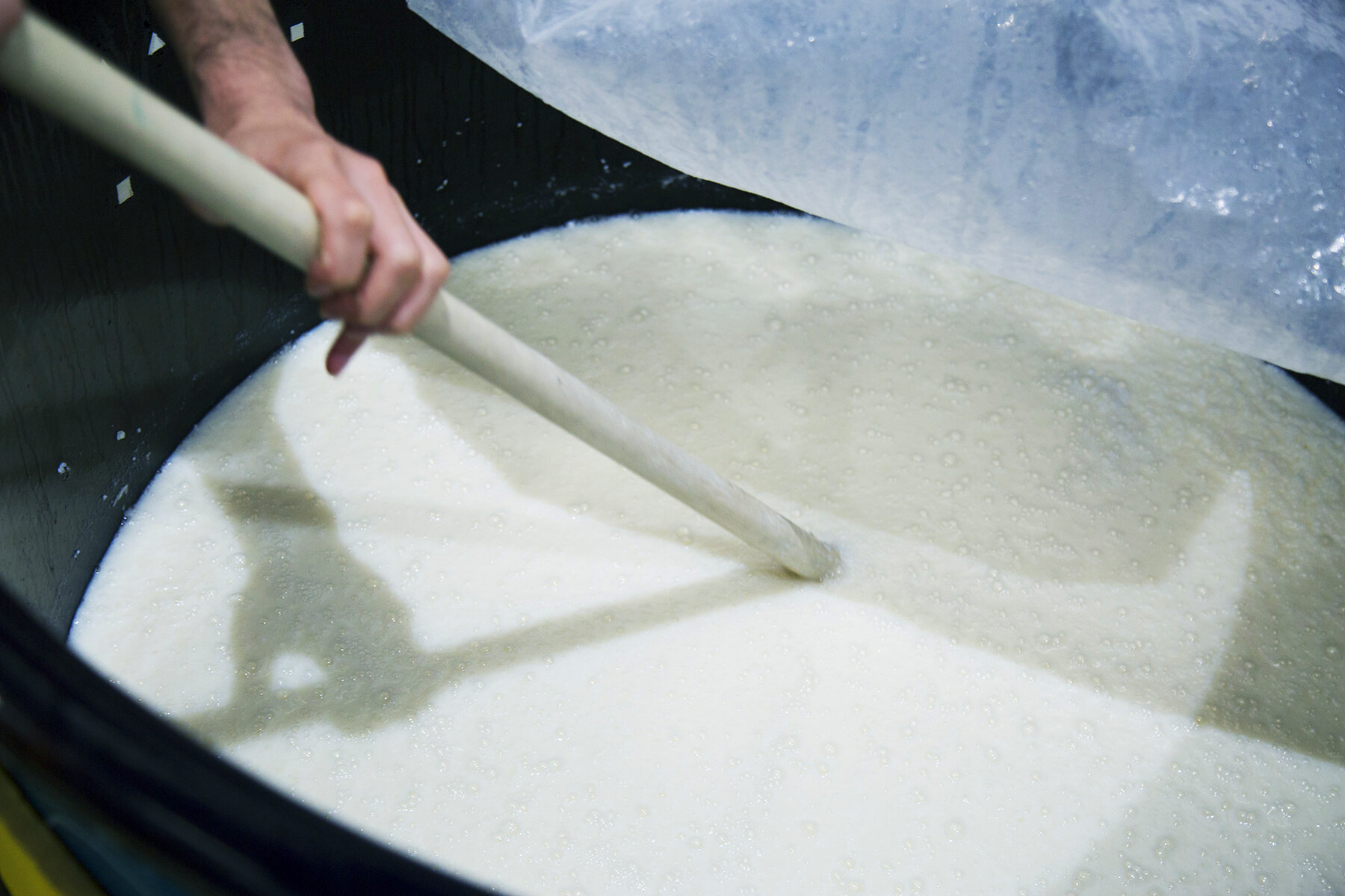 SAKE MIYOSHI