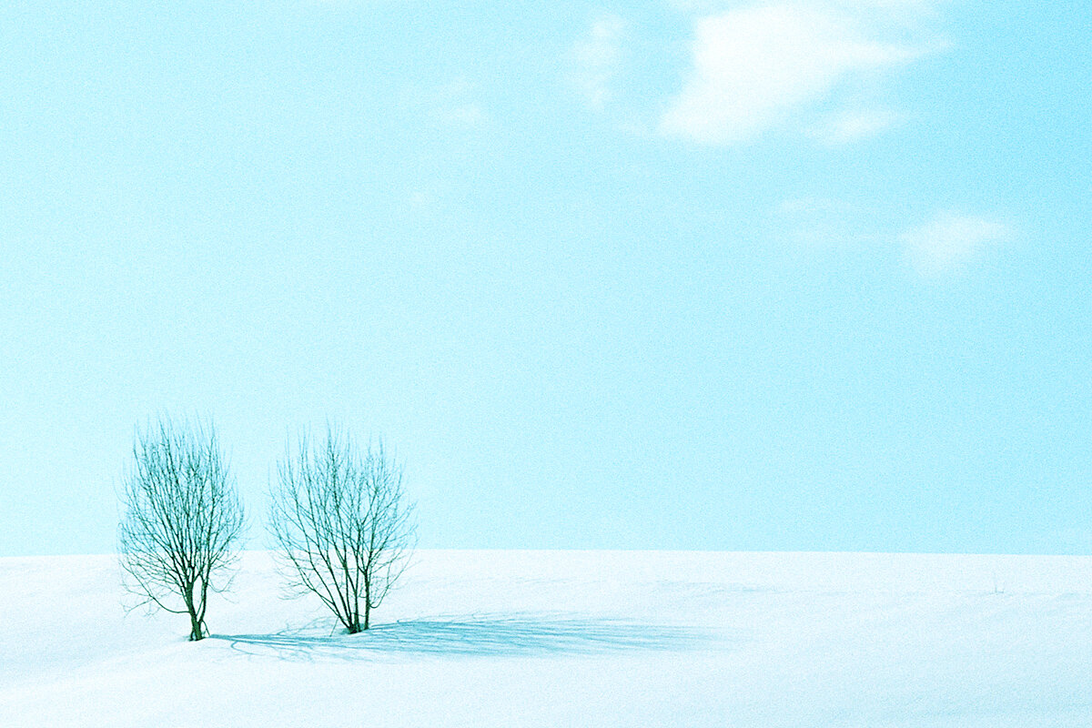 MIYOSHI WINTER