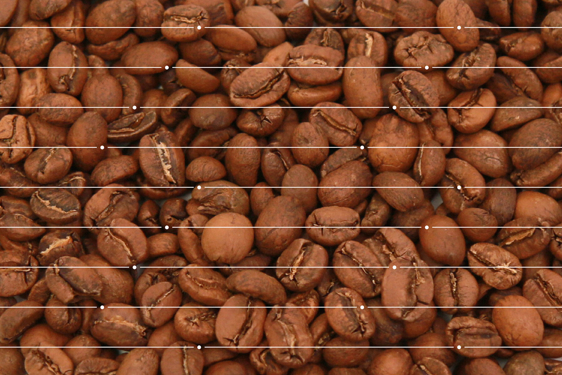SHIKISHIMA COFFEE FACTORY PACKAGE DESIGN