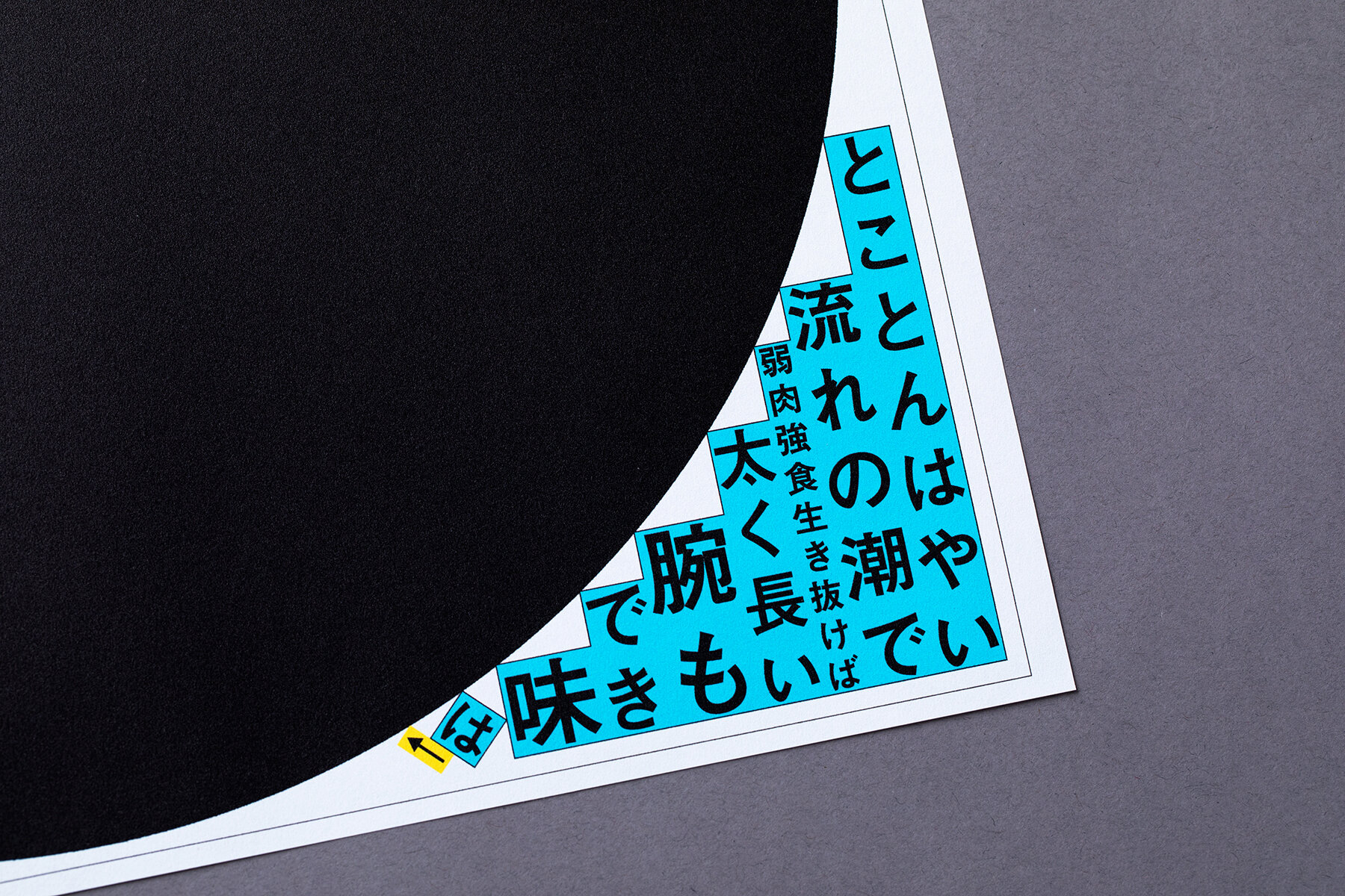 AKASHI TAKOSEN NEWS PAPER