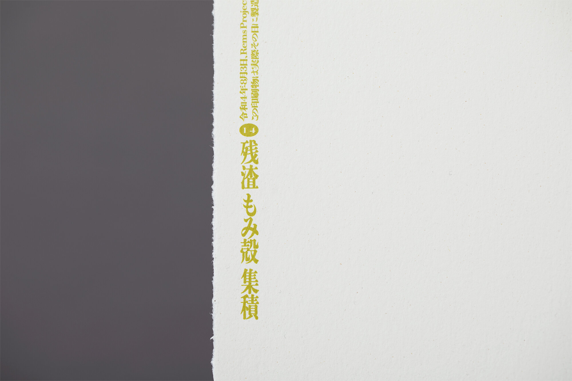 REMS LIMITED POSTERS