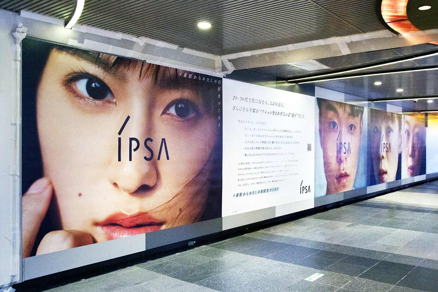 IPSA 23AW SEASON VISUAL