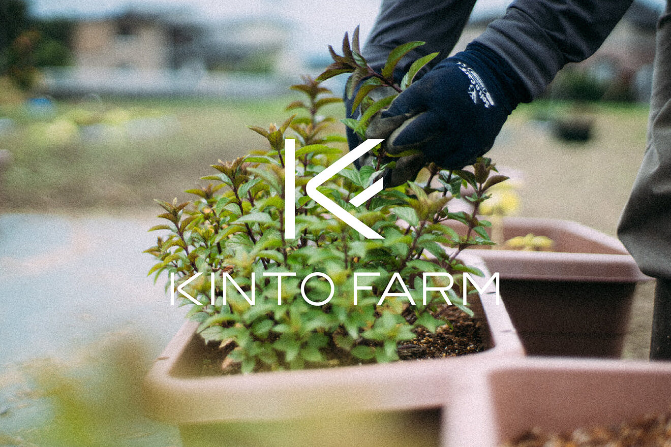 KINTO FARM LOGO DESIGN