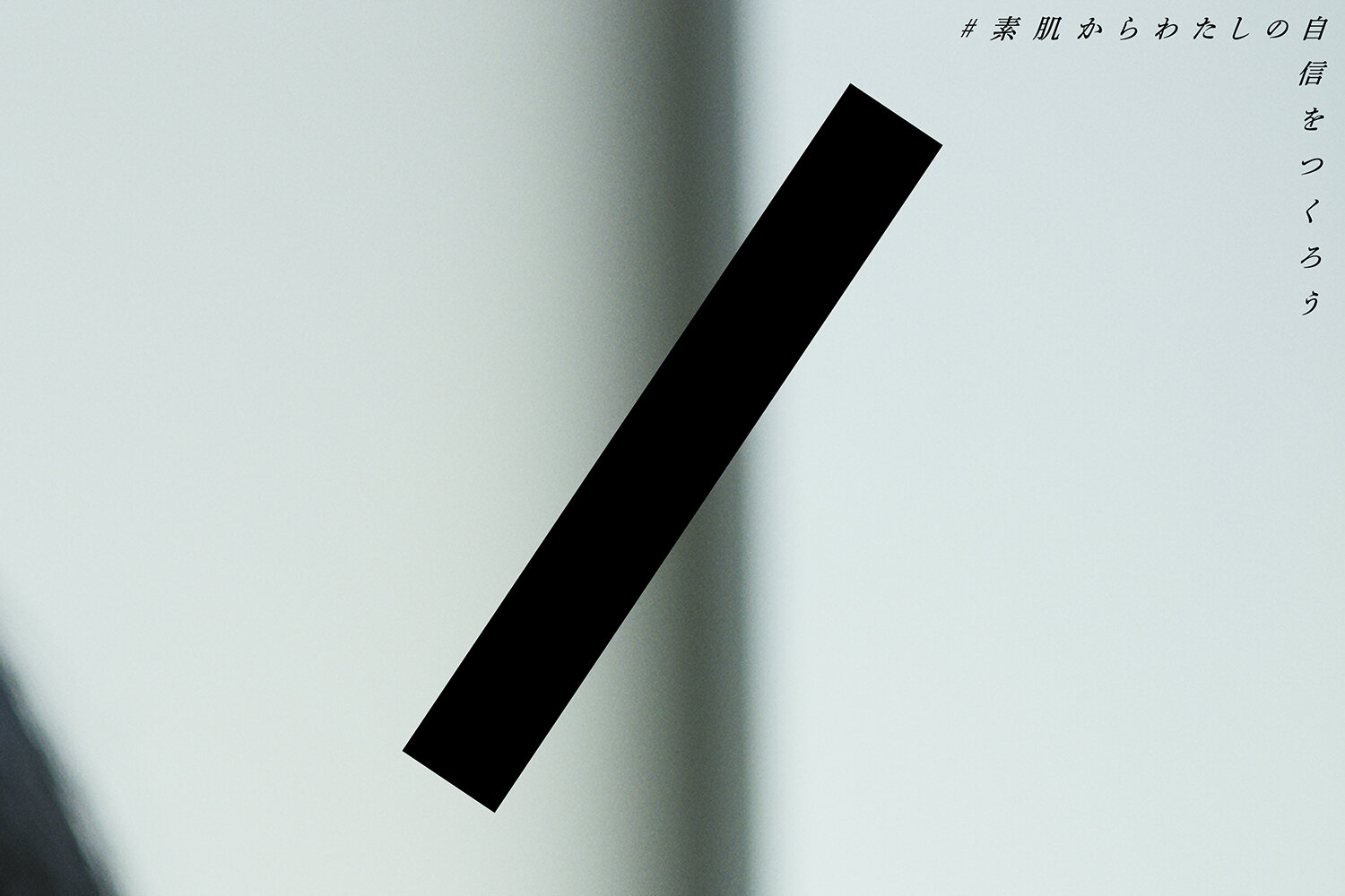 IPSA 23AW SEASON VISUAL
