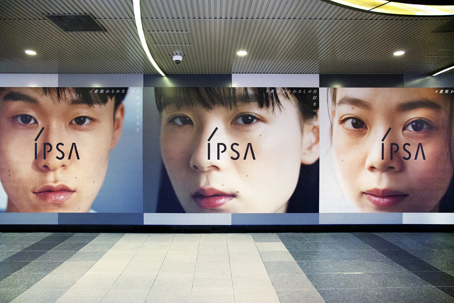 IPSA 23AW SEASON VISUAL