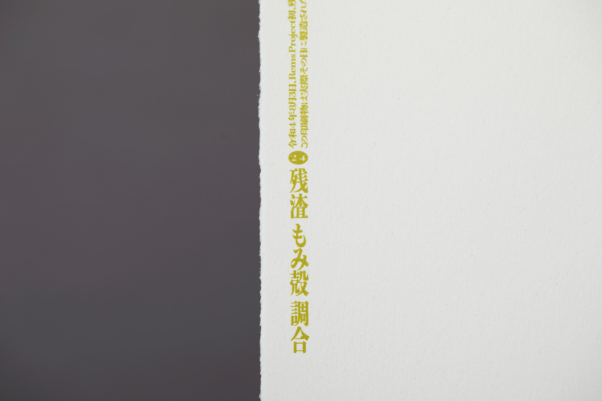 REMS LIMITED POSTERS