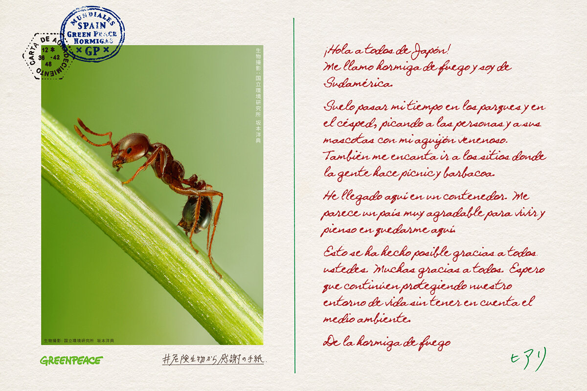 GREENPEACE BIG THANKS FROM DANGEROUS INVASIVE CREATURES