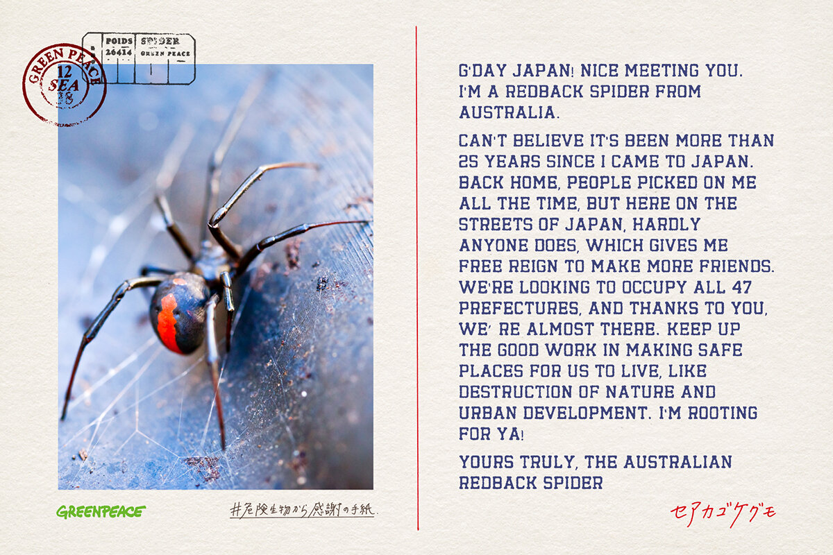 GREENPEACE BIG THANKS FROM DANGEROUS INVASIVE CREATURES