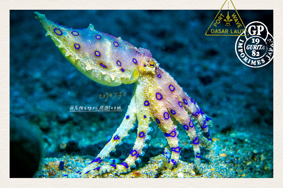 GREENPEACE BIG THANKS FROM DANGEROUS INVASIVE CREATURES