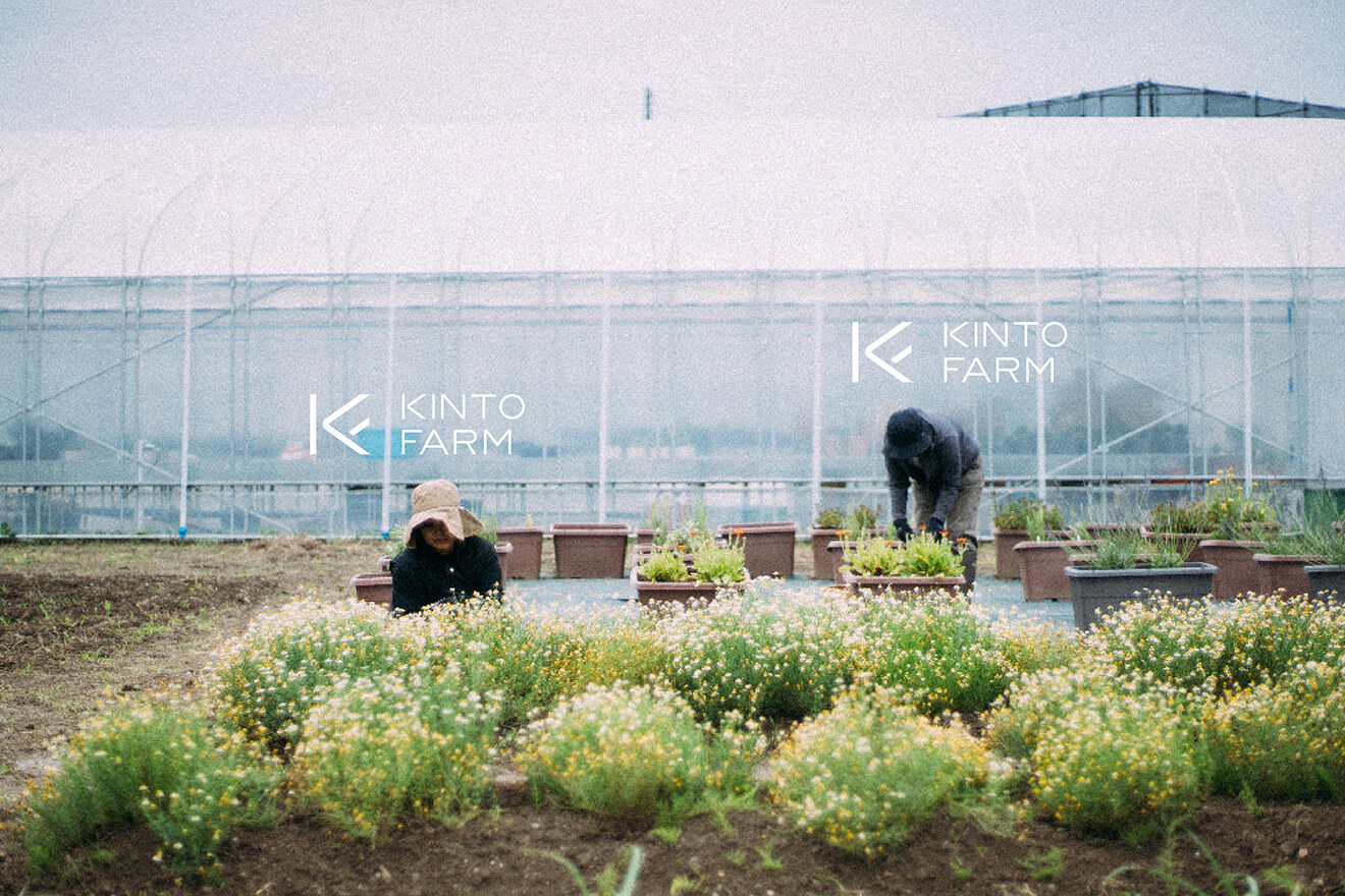 KINTO FARM LOGO DESIGN