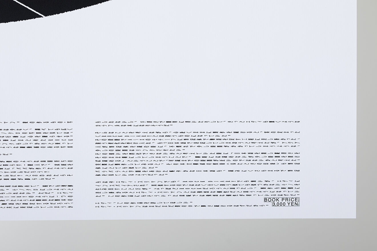 DELUSION TO HEDI SLIMANE POSTER