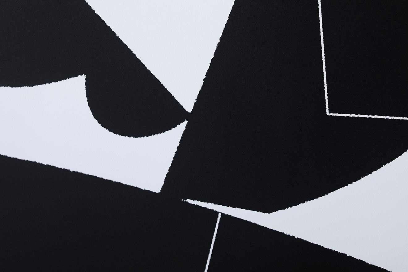DELUSION TO HEDI SLIMANE POSTER