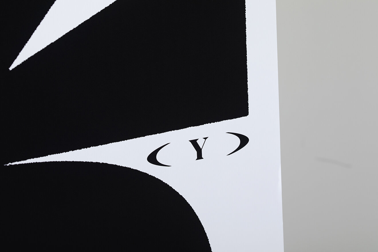 DELUSION TO HEDI SLIMANE POSTER