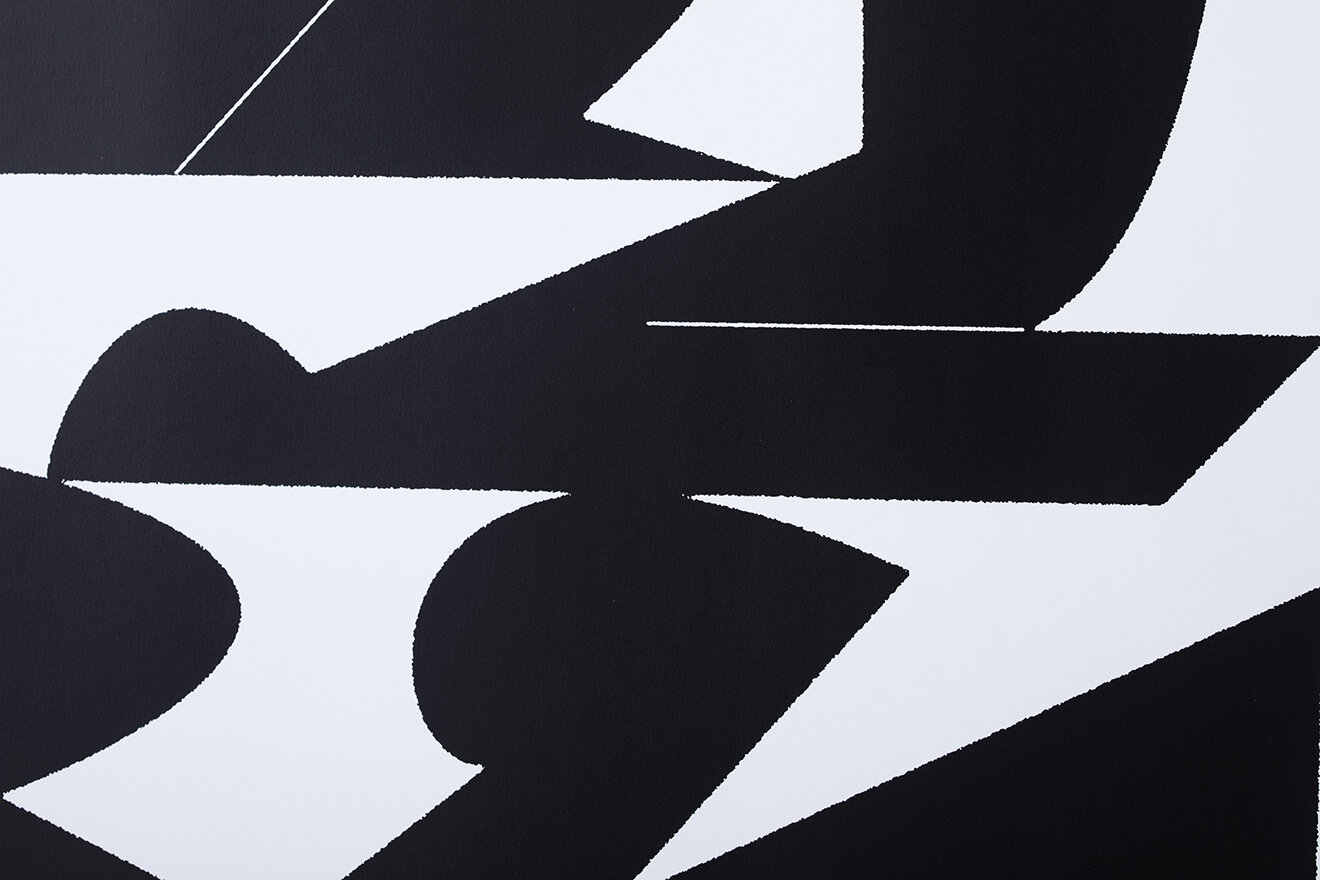 DELUSION TO HEDI SLIMANE POSTER