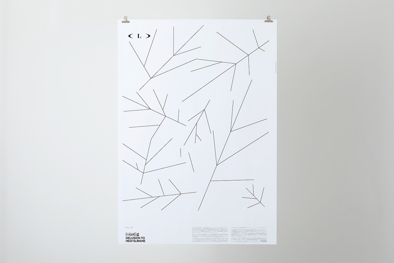 DELUSION TO HEDI SLIMANE POSTER