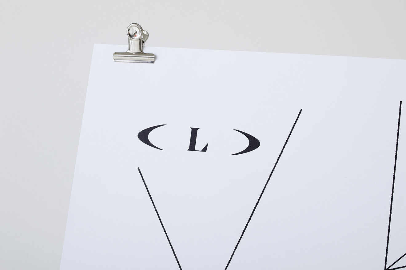 DELUSION TO HEDI SLIMANE POSTER