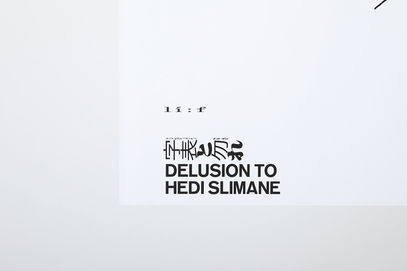 DELUSION TO HEDI SLIMANE POSTER