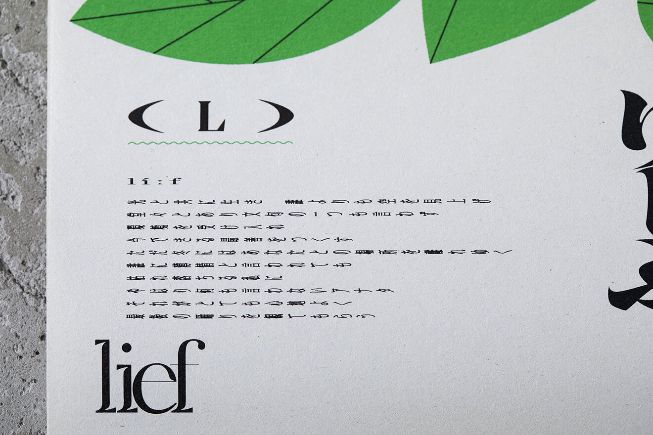 DELUSION TO HEDI SLIMANE BOOK