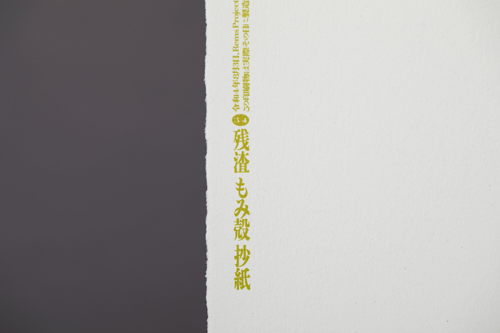 REMS LIMITED POSTERS
