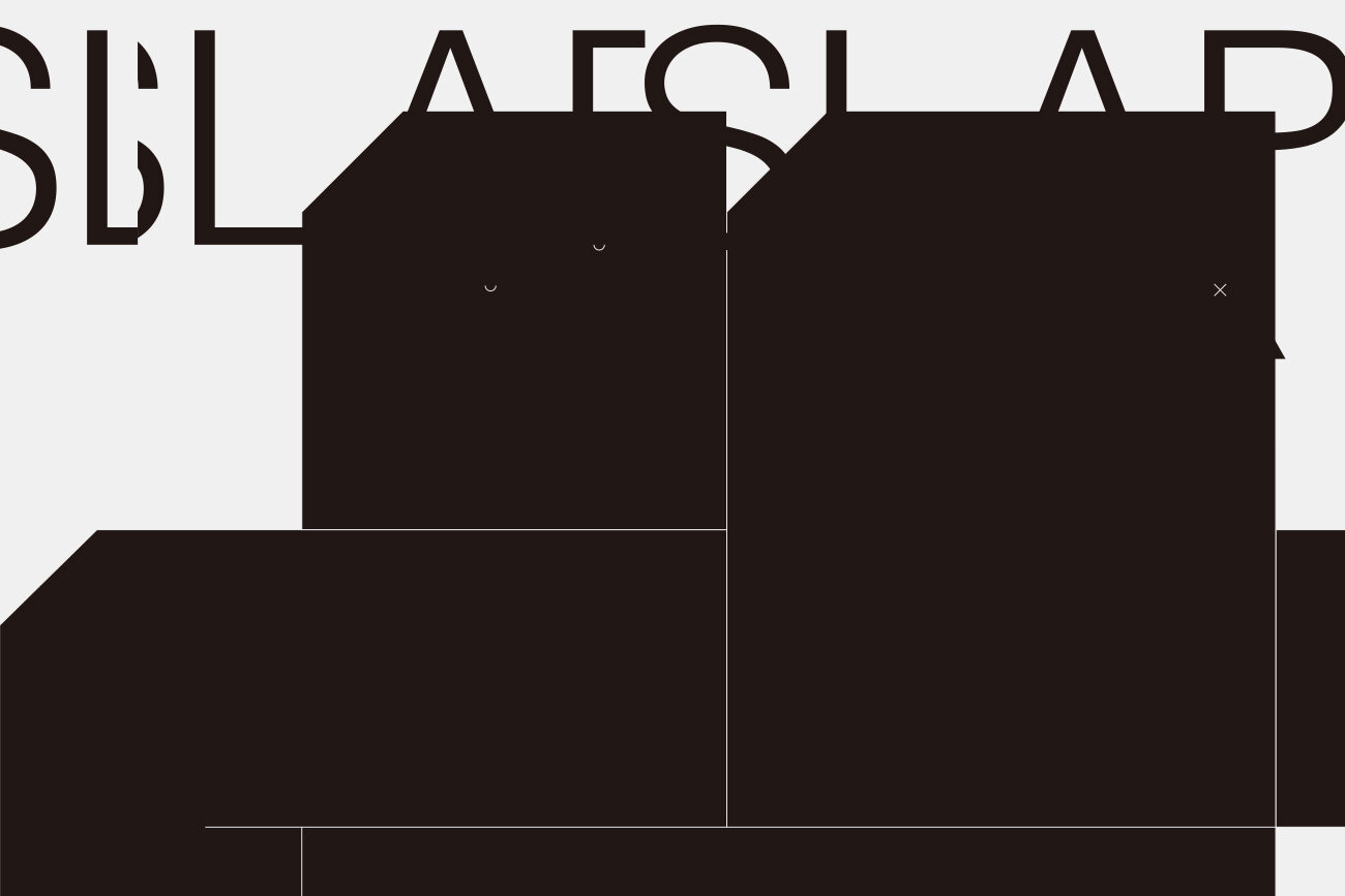 BLACK AND BLOCK