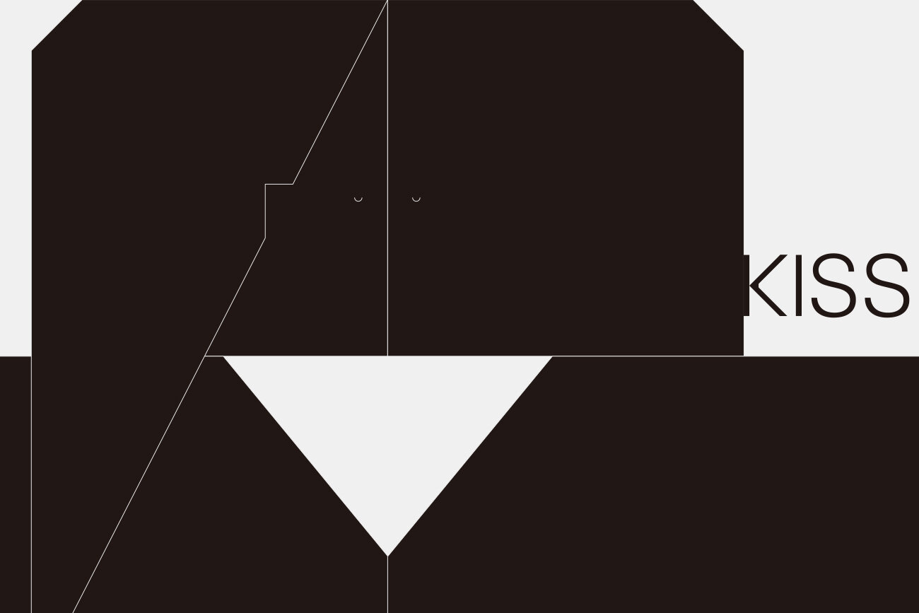 BLACK AND BLOCK