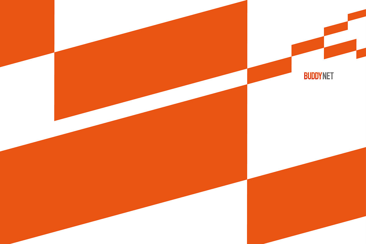 BUDDY NET 23