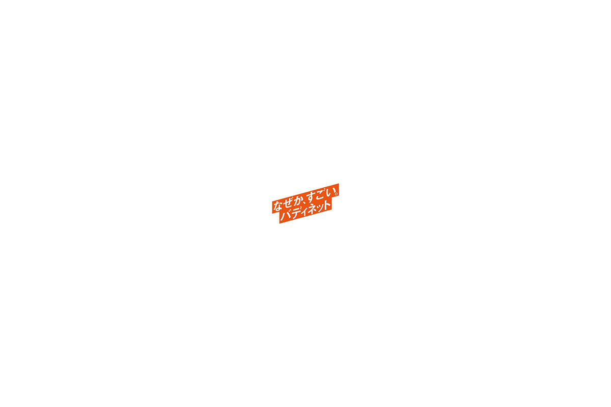 BUDDY NET 23