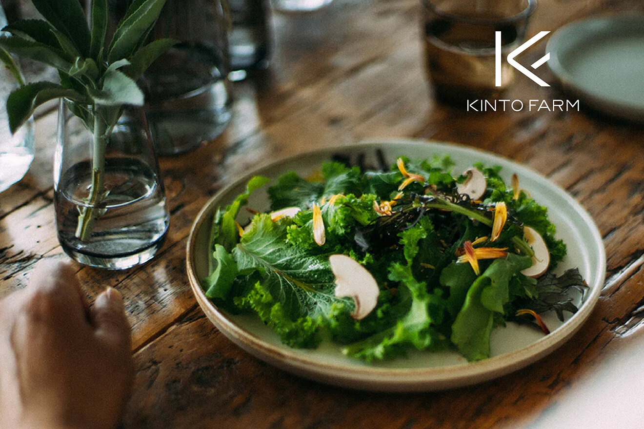 KINTO FARM LOGO DESIGN