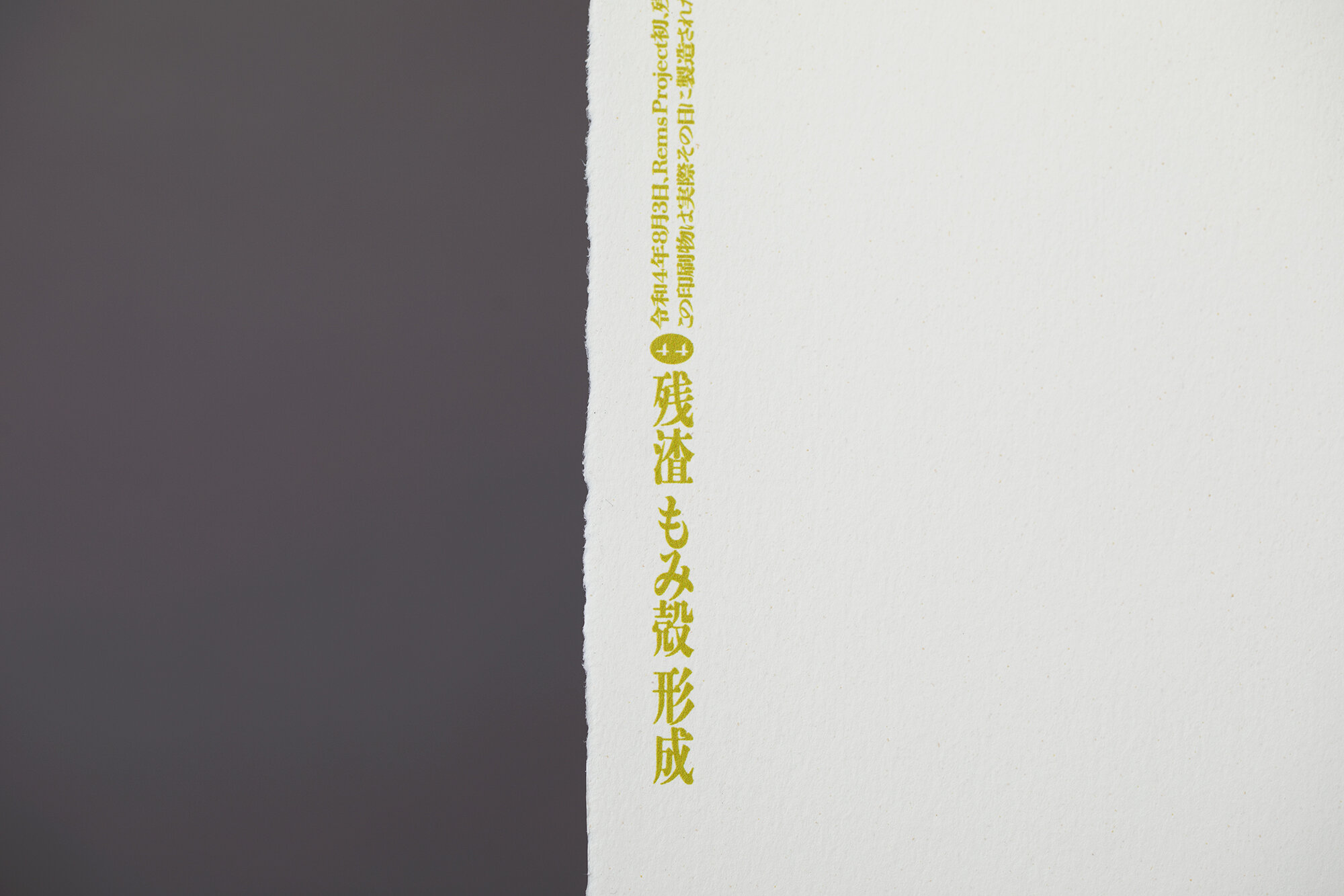 REMS LIMITED POSTERS