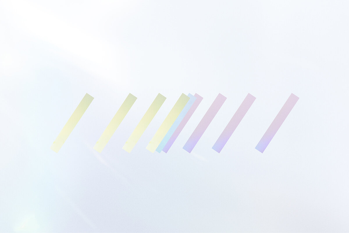 IPSA 24SS SEASON VISUAL