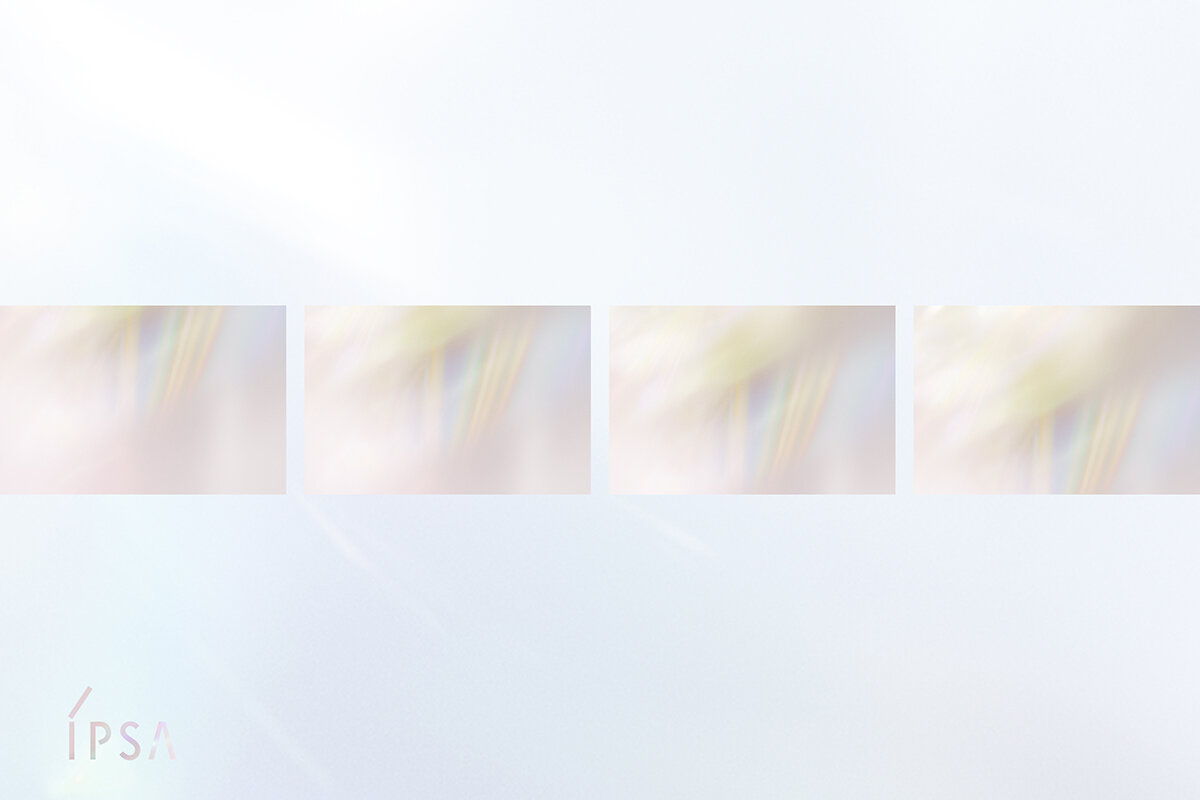 IPSA 24SS SEASON VISUAL