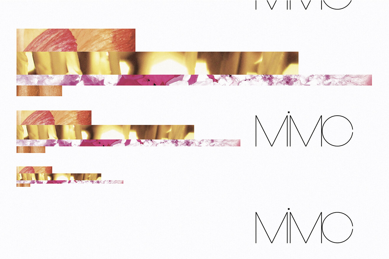 MiMC '20