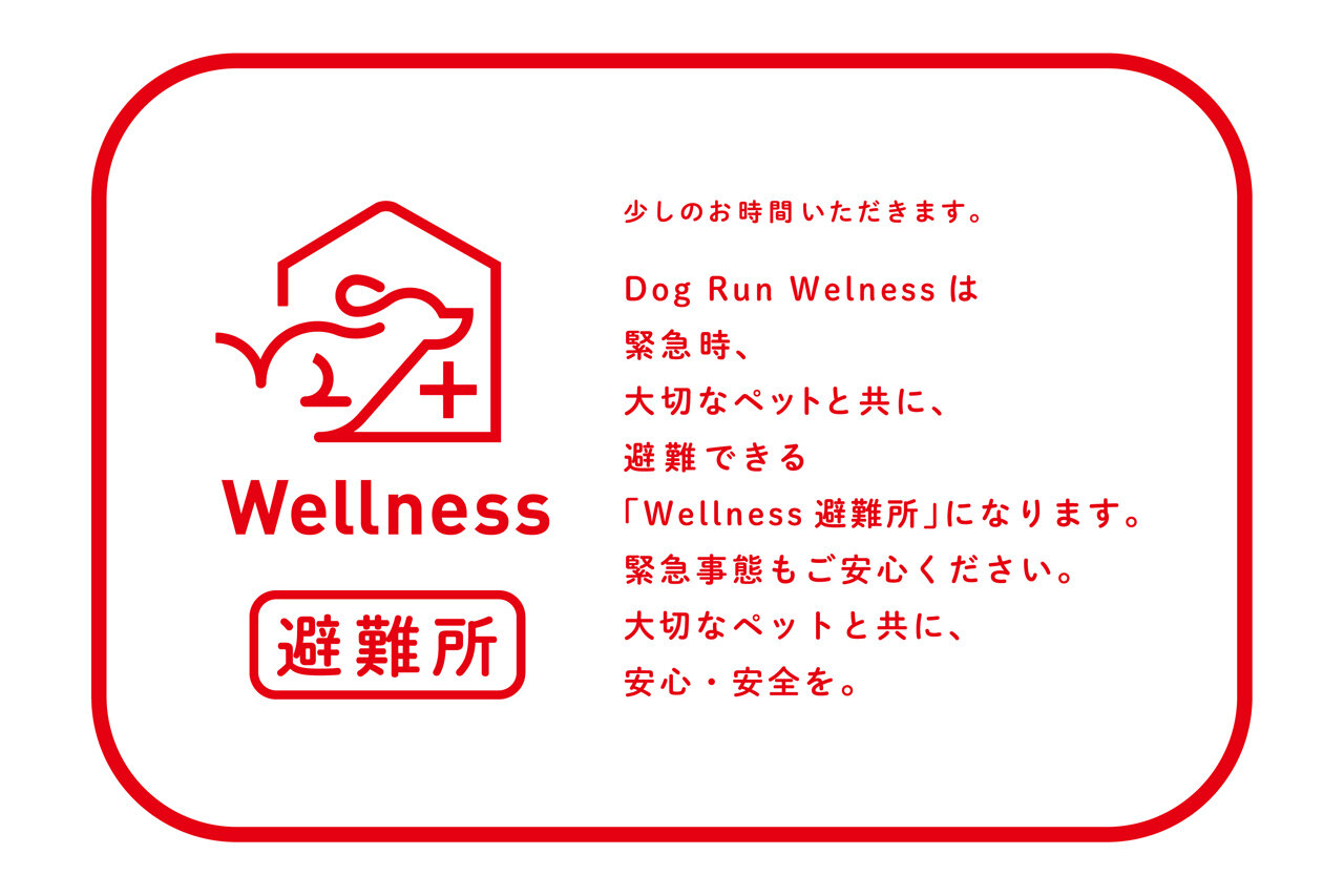 NOJIMA 2025 BRANDING