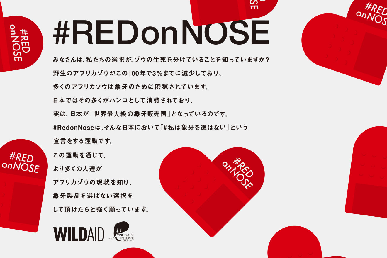 WILD AID RED ON NOSE